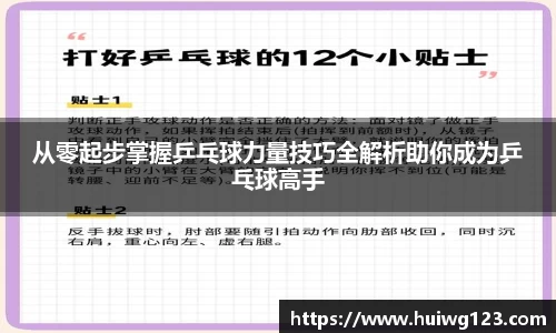 从零起步掌握乒乓球力量技巧全解析助你成为乒乓球高手